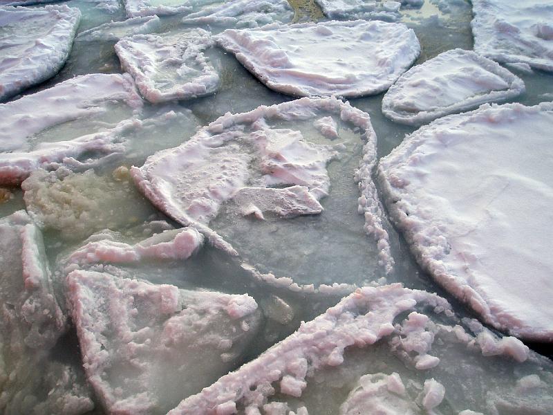 Pancake and brown ice algae .jpg - OLYMPUS DIGITAL CAMERA